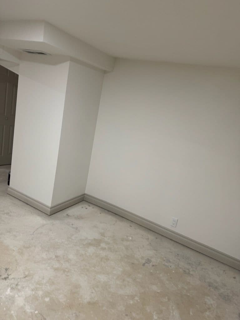 Project Complete Basement Remodel in Denver image